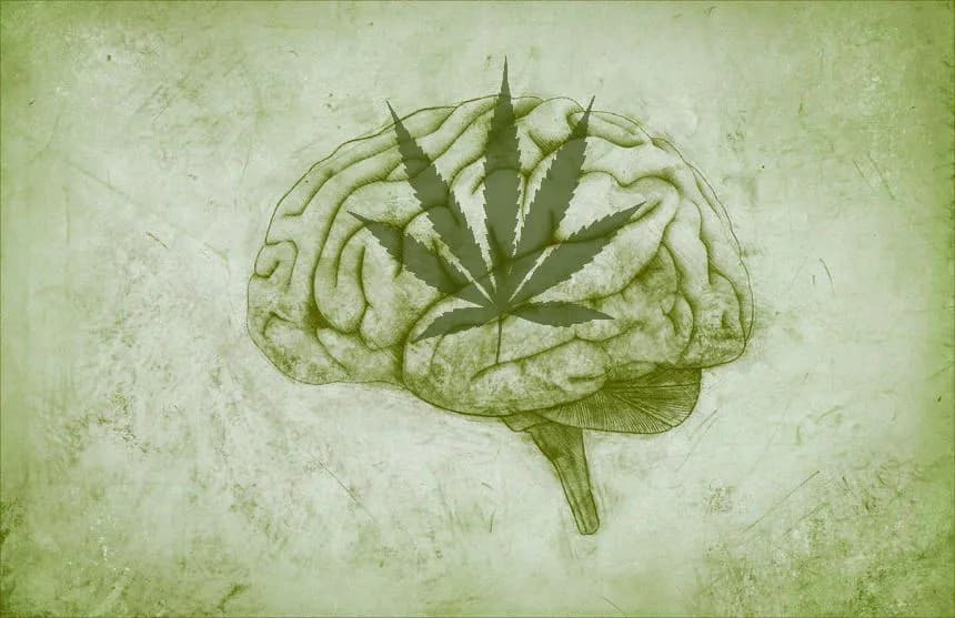 Conscious Cannabis as a Spirit Medicine